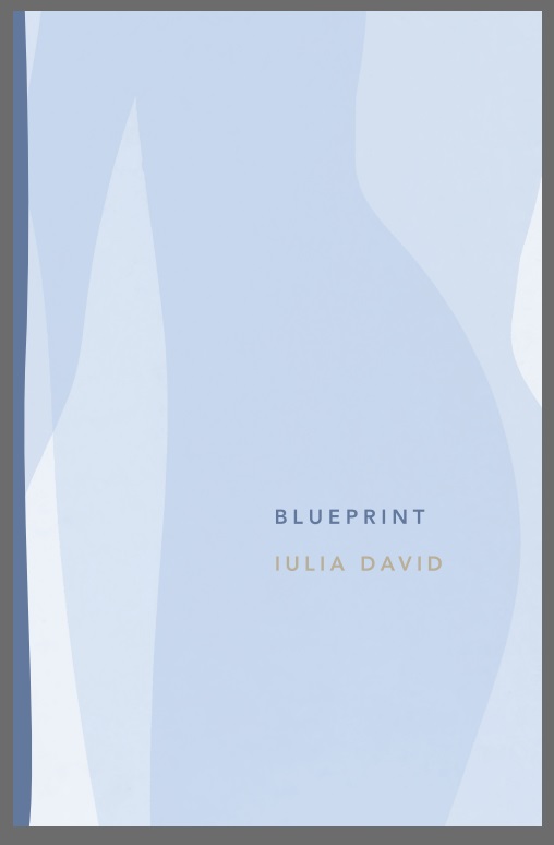 Blueprint By Iulia David