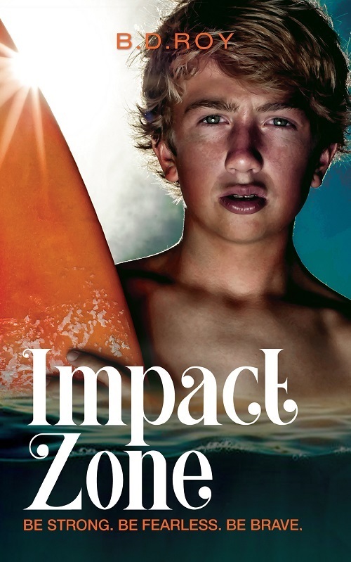 Impact Zone By B.D.Roy
