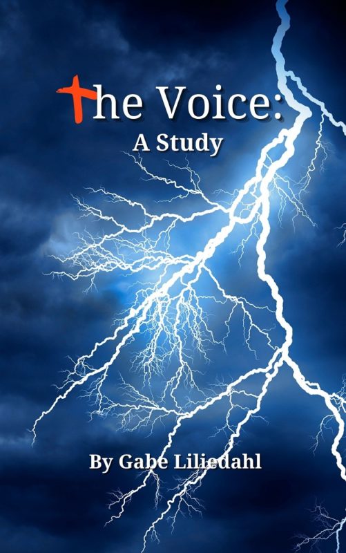 The Voice: A Study By Gabe Liliedahl