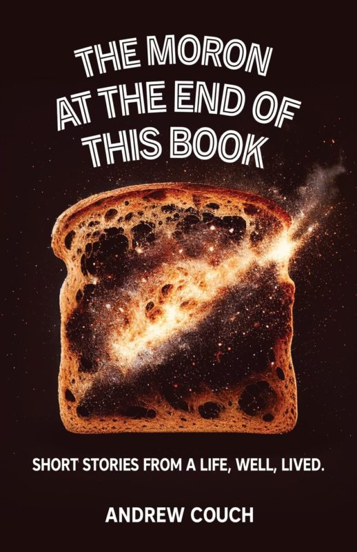 The Moron at the End of This Book By Andrew Couch