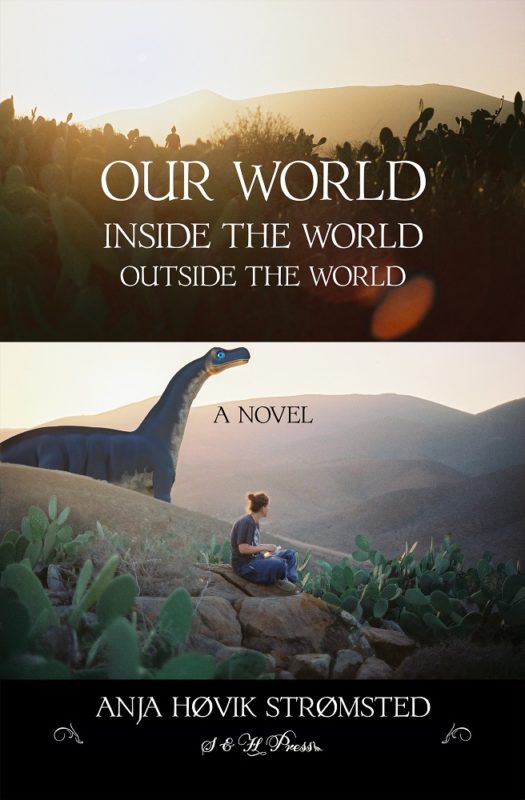 Our World Inside the World Outside the World By Anja Høvik Strømsted