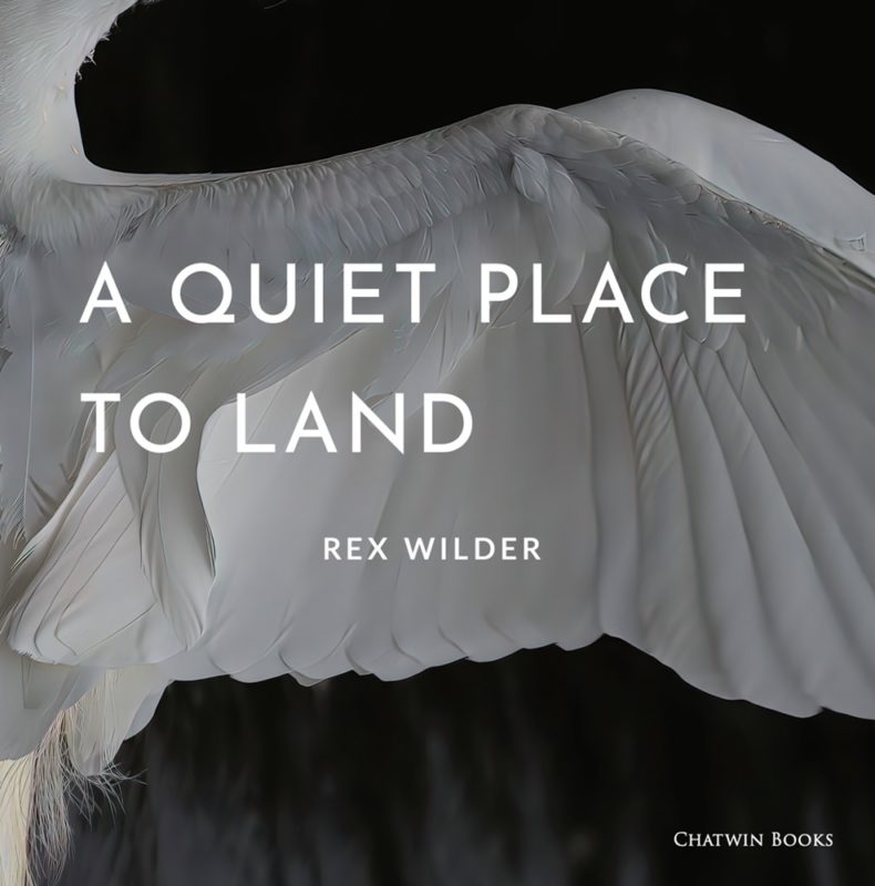 A Quiet Place to Land By Rex Wilder