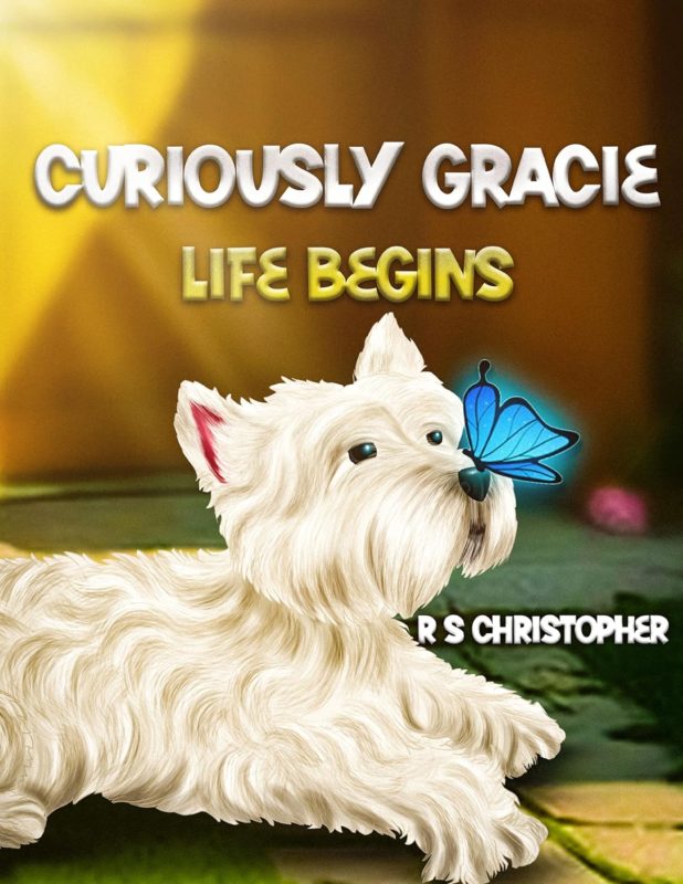 Curiously Gracie: Life Begins  By R S Christopher