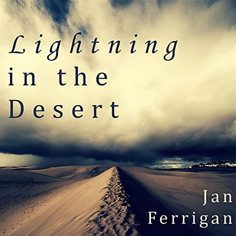 Lightning in the Desert: The Specific Heat of Water Book 1 By Jan Ferrigan