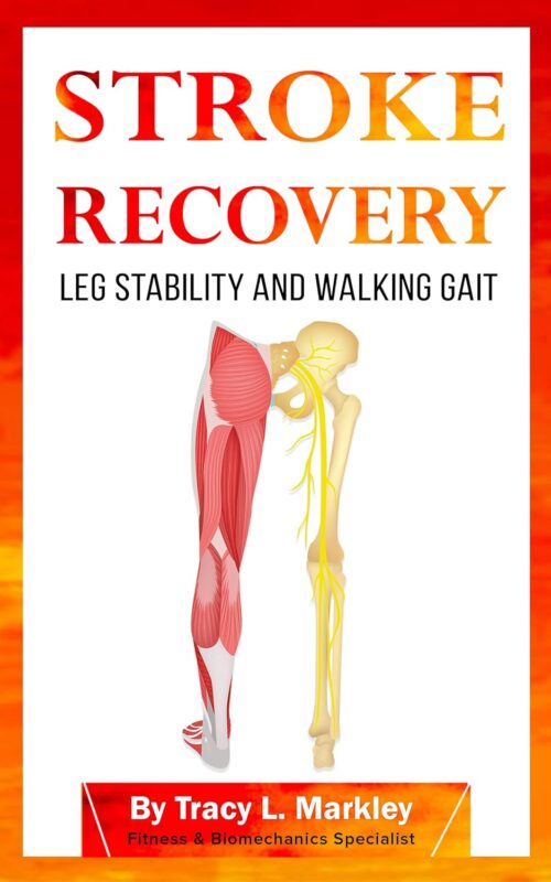 Stroke Recovery: Leg Stability and Walking Gait By Tracy L. Markley