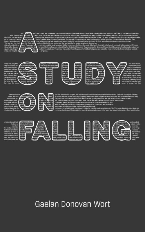 A Study on Falling By Gaelan Donovan Wort