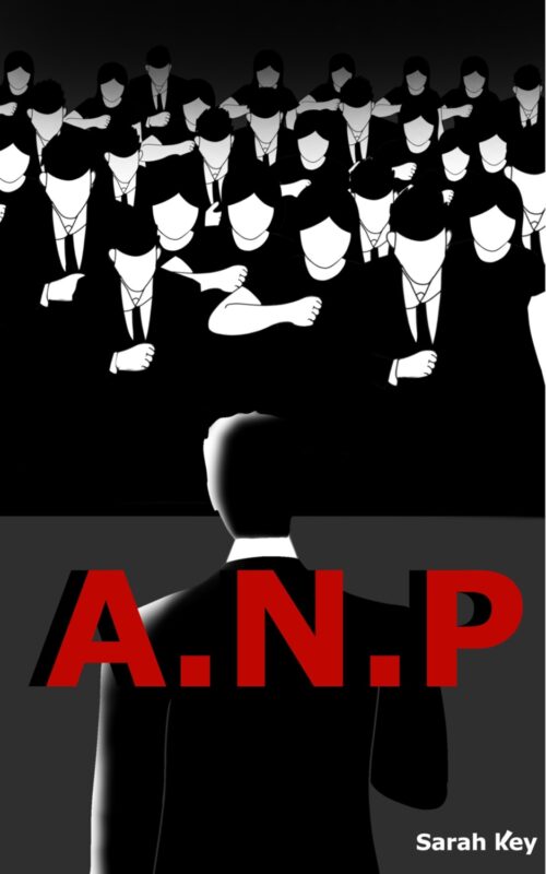 Political Thriller – A.N.P. By Sarah Key