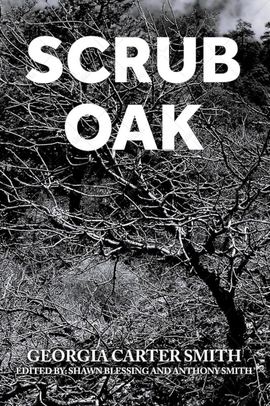 Scrub Oak By Georgia Carter Smith