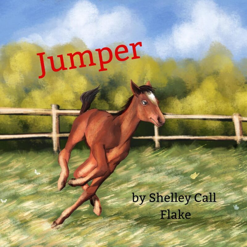Jumper By Shelley Call Flake